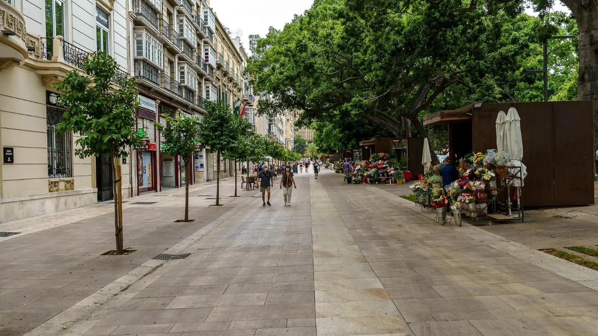 Malagasuite City Centre With Terrace Málaga